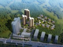 金路花园高城苑