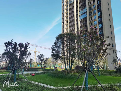 澧县九澧学府：学霸盘，双重教育，现房等您