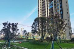 澧县九澧学府：学霸盘，双重教育，现房等您