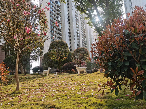 钧泰碧水园：优质教育资源，开启阳光招生