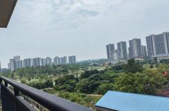 金色晓岛洋房：湖景生态，配套丰富，居住优选