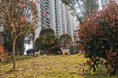 钧泰碧水园：优质教育资源，开启阳光招生