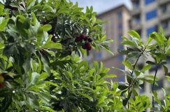 走进汉寿诚信华府 畅享舒适生活与便捷配套