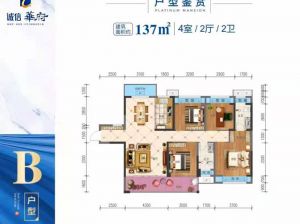 常德-汉寿县诚信华府为您提供B户型鉴赏