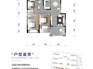 常德-澧县九澧学府为您提供A户型鉴赏