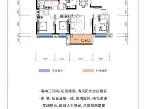 常德武陵区柳玥台为您提供C4户型鉴赏