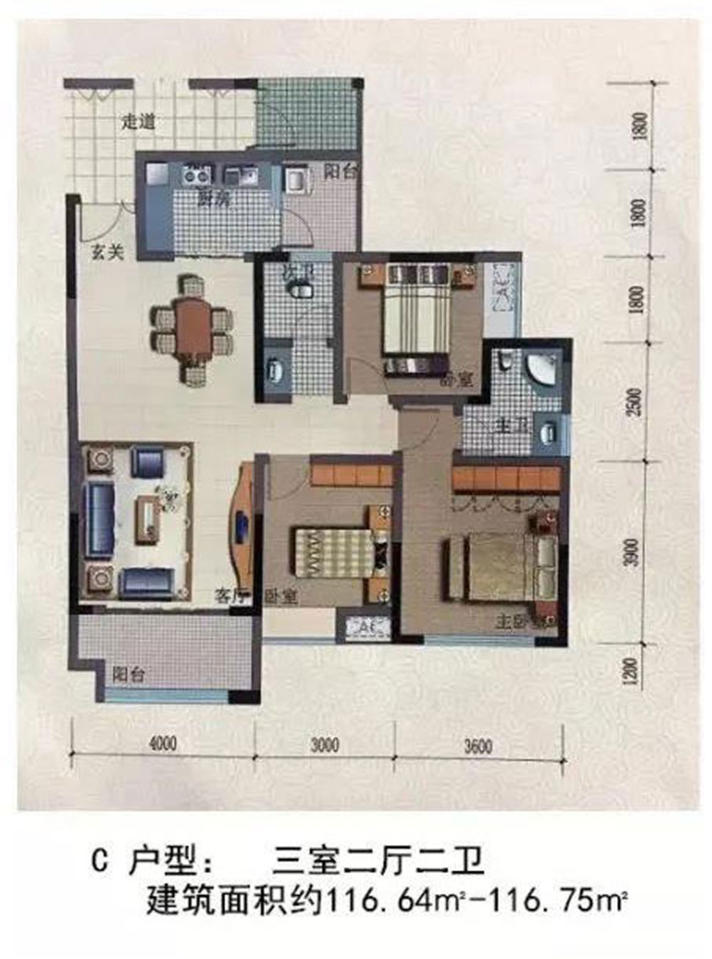 C户型