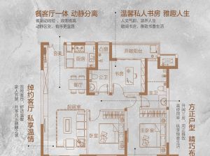 益阳赫山区中央御府为您提供C户型鉴赏