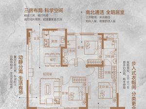 益阳赫山区中央御府为您提供B户型鉴赏