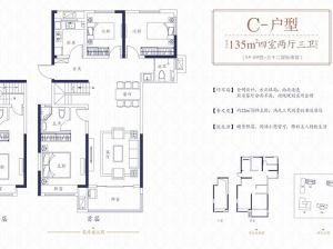 岳阳岳阳楼区巴陵正荣府为您提供C户型鉴赏