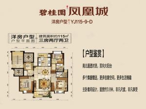 岳阳岳阳楼区碧桂园凤凰城为您提供洋房D户型鉴赏