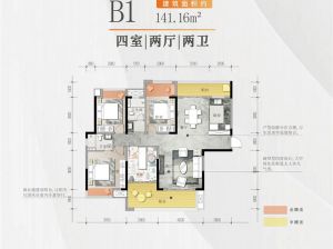 岳阳-湘阴辰华拾光里为您提供B1户型鉴赏
