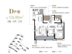 岳阳-临湘临湘中心为您提供D户型鉴赏