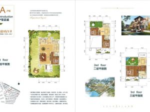 岳阳君山区合众领岛为您提供A户型鉴赏