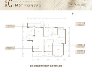 益阳高新区新世界梓山湖为您提供C户型鉴赏