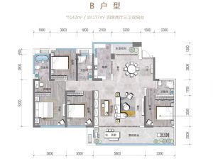 衡阳蒸湘区天嘉成林间为您提供B户型鉴赏