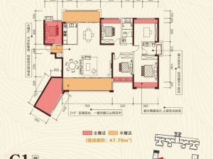 衡阳-祁东县金泰新时代为您提供C1户型鉴赏