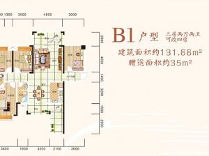 衡阳-祁东县新水云轩高铁城为您提供B1户型鉴赏