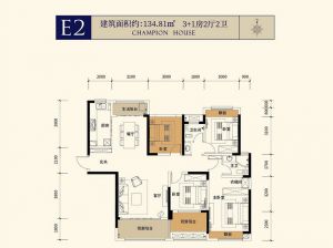 衡阳-祁东县丁达状元府为您提供E2户型鉴赏