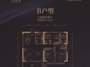 株洲石峰区金茂悦为您提供B户型鉴赏