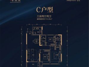 株洲石峰区金茂悦为您提供C户型鉴赏