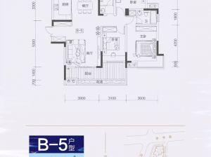 株洲石峰区学府港湾二期为您提供B-5户型鉴赏