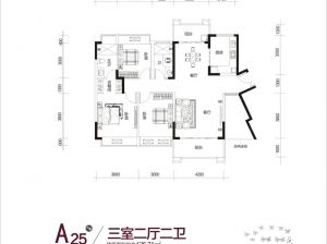 株洲天元区经世龙城为您提供A25户型鉴赏