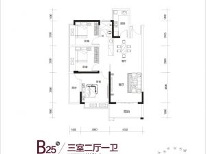 株洲天元区经世龙城为您提供B25户型鉴赏