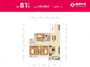 株洲天元区中房天玺湾为您提供32#B1户型鉴赏