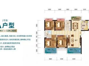 株洲荷塘区水竹佳苑为您提供A户型鉴赏