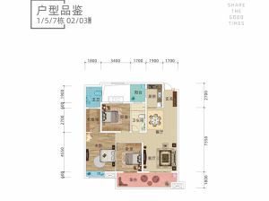 株洲-醴陵市亿都时光为您提供1/5/7#02/03户型鉴赏