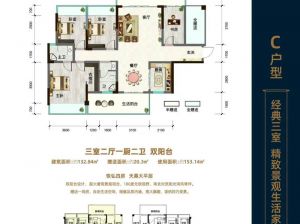 郴州-永兴县君悦龙山为您提供C户型鉴赏