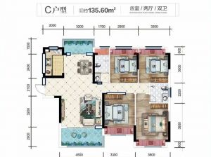 郴州-资兴市江山府为您提供C户型鉴赏