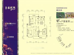 郴州-永兴县宸业翡翠湾为您提供B1户型鉴赏