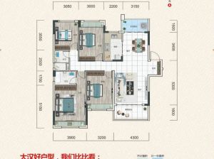 郴州-宜章县大汉时代广场为您提供1#洋房鉴赏