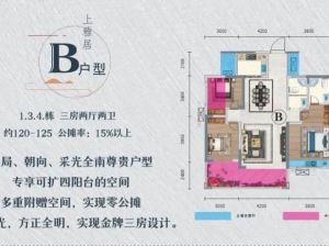 郴州-临武县上品央著为您提供B户型鉴赏