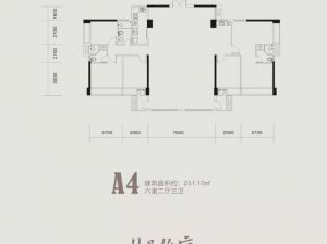 郴州苏仙区林邑翰庭为您提供A4户型鉴赏