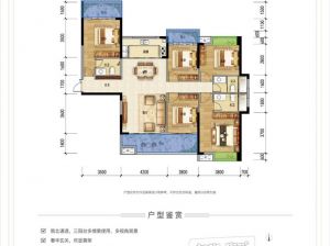 郴州-安仁县凯为佳园为您提供A户型鉴赏