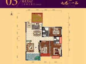 郴州-安仁县九龙一品为您提供03户型鉴赏