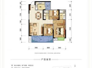 郴州-安仁县凯为佳园为您提供B户型鉴赏