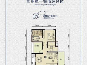 郴州北湖区美美世界为您提供5栋B1户型鉴赏