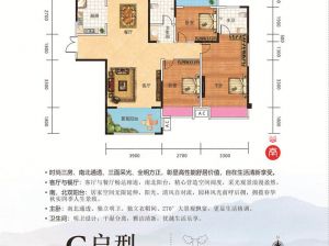 郴州北湖区锦泰山水缘四期为您提供80栋G户型鉴赏