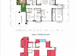 常德-石门县金港广场为您提供A5户型鉴赏