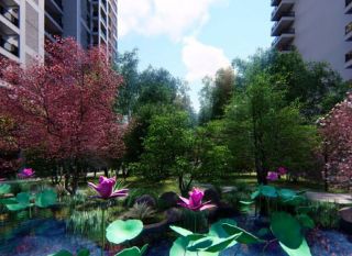 衡阳南岳区云峰国府为您提供该项目配套图欣赏