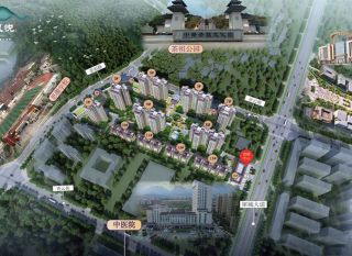 株洲-茶陵县东阳凯悦为您提供该项目实景图欣赏