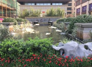 郴州-安仁县九龙一品为您提供该项目实景图欣赏